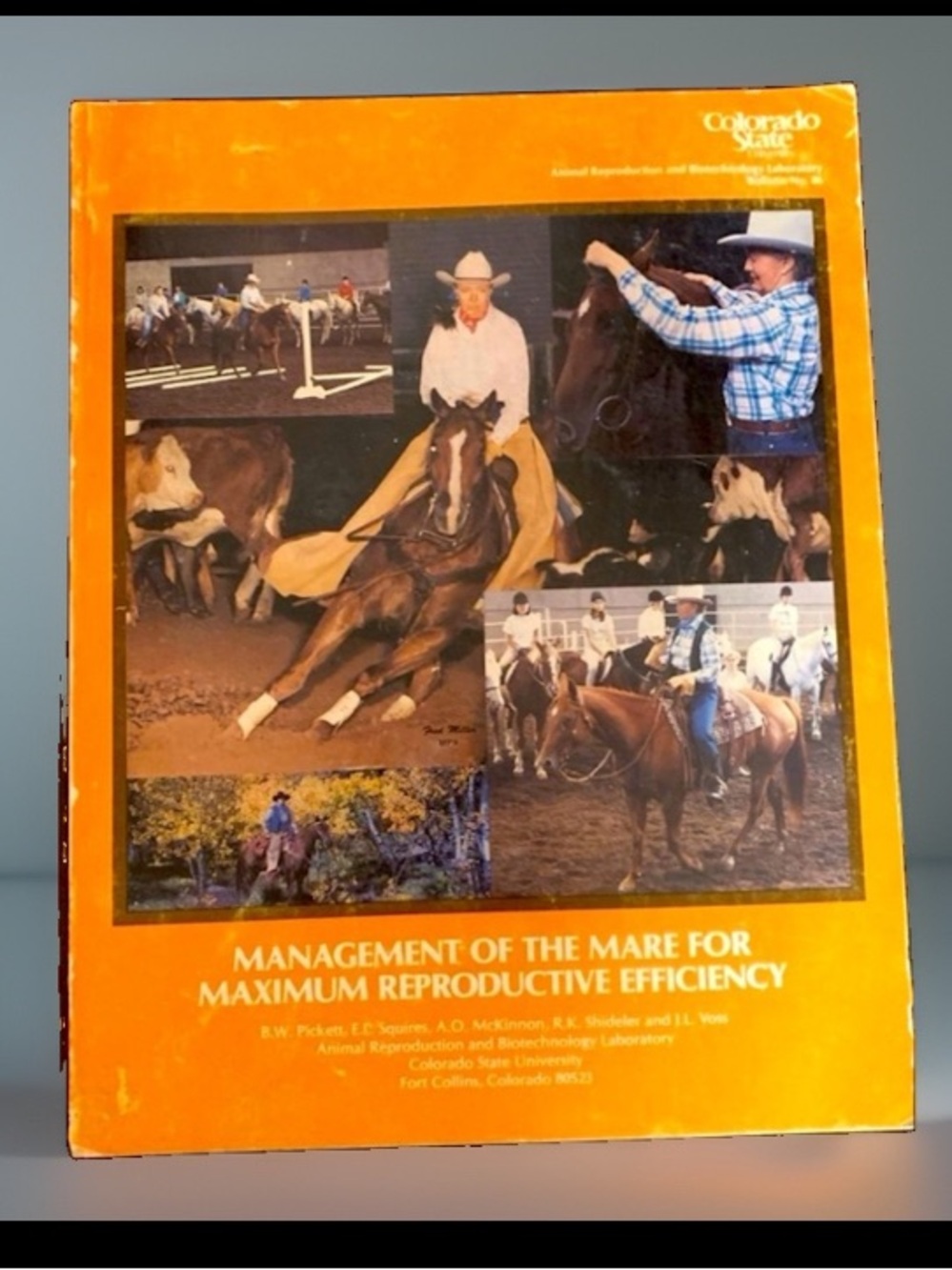 “Management of the Mare For Maximum Reproductive Efficiency”